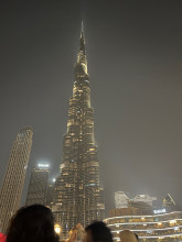 2779372